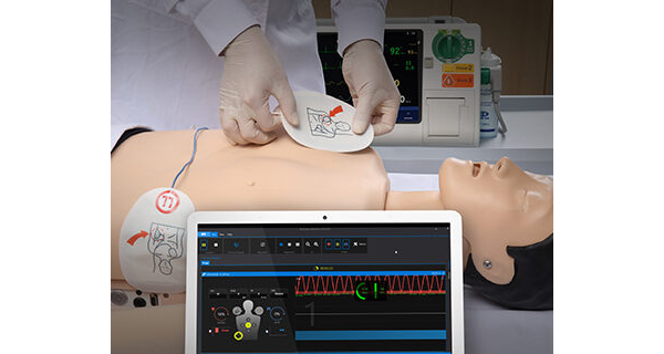 SMART CPR Training Model - Multi System : Sherpa-XM