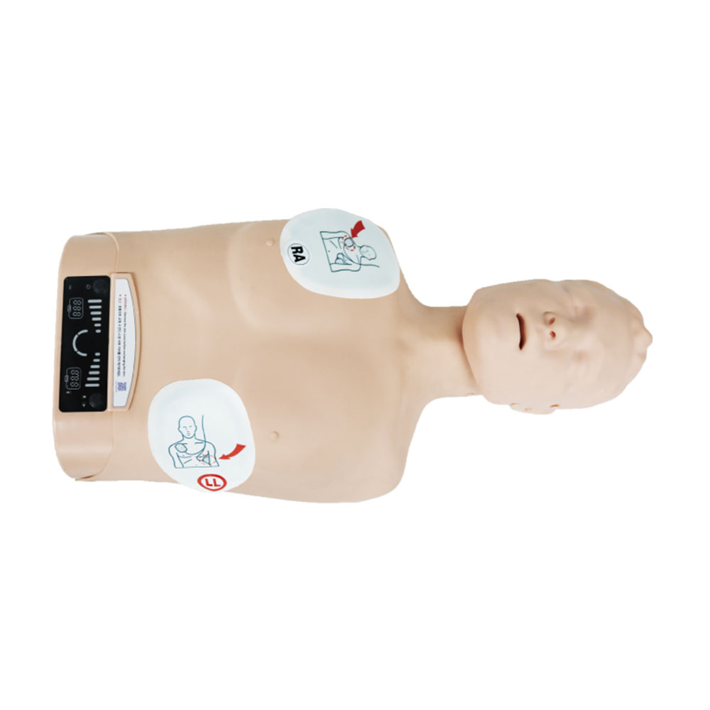 Pulox Reanimation Doll First Aid Training Doll Practice Doll